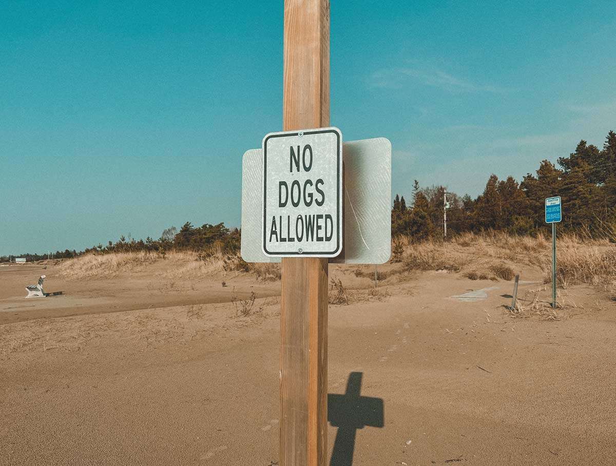 No dogs allowed sign on Sauble Beach